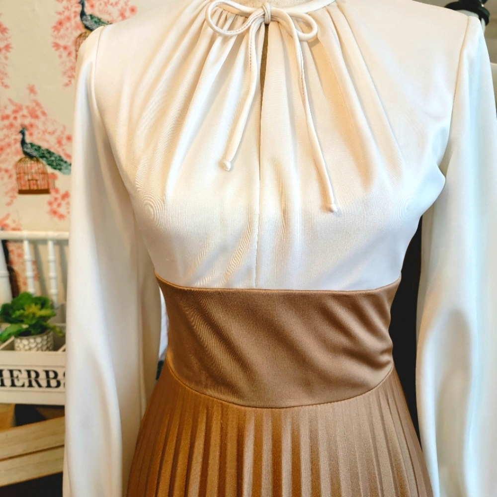 Vintage long pleated dress